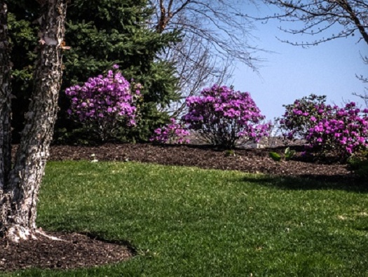 Along The Way Along The Way